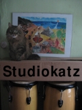 Studiokatz - Live-Chat